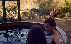 Quinta Do Benjamim - Tejo 